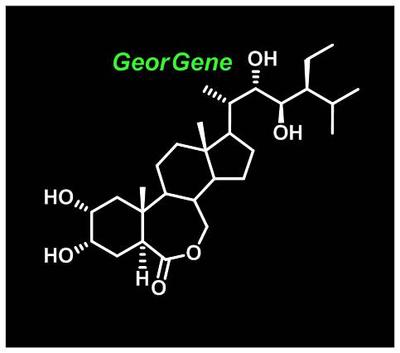 28-表高油菜素内酯